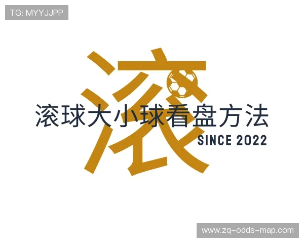发现滚球运动